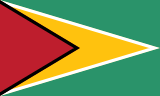 Guyana flag