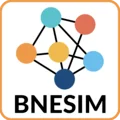 BNESIM